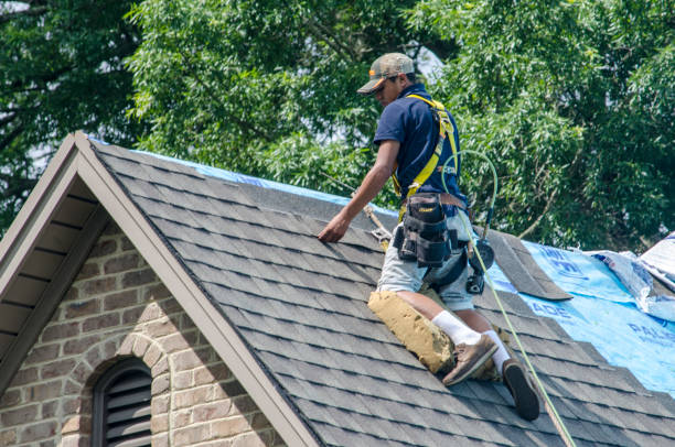 Quick and Trustworthy Emergency Roof Repair Services in Alamo Heights, TX